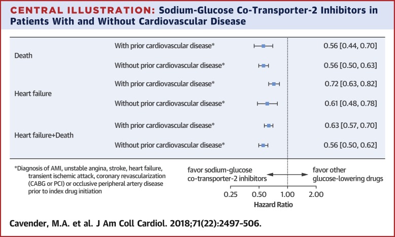 SGLT-2 Inhibitors And Cardiovascular Risk,Journal Of The American ...