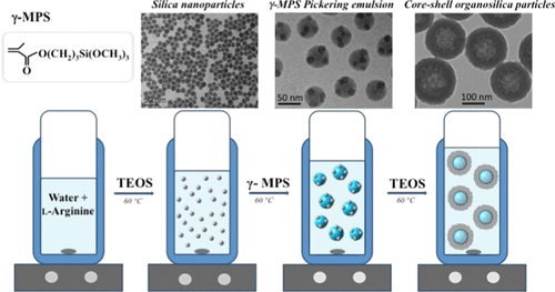 L Arginine Catalyzed Synthesis Of Nanometric Organosilica Particles Through A Waterborne Sol Gel Process And Their Porous Structure Analysis Langmuir X Mol