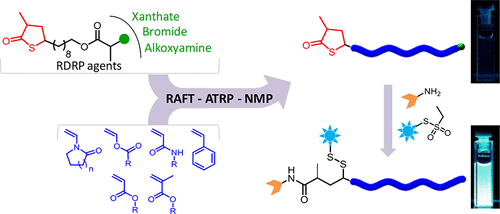 Thiolactone-Functional Reversible Deactivation Radical Polymerization ...