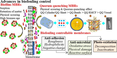 Recent developments in biofouling control in membrane bioreactors for ...