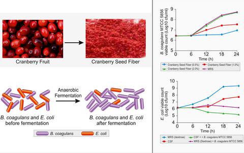 Cranberry seed fibre: a promising prebiotic fibre and its fermentation ... - 10.1111 Ijfs.13747