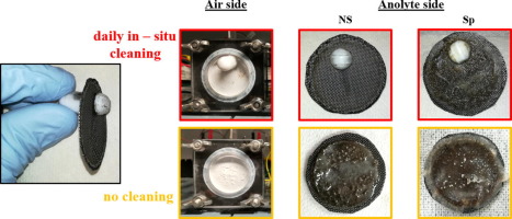 In Situ Biofilm Removal From Air Cathodes In Microbial Fuel Cells 