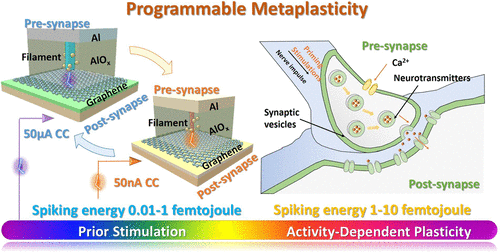 Programmable Synaptic Metaplasticity and below Femtojoule Spiking ...