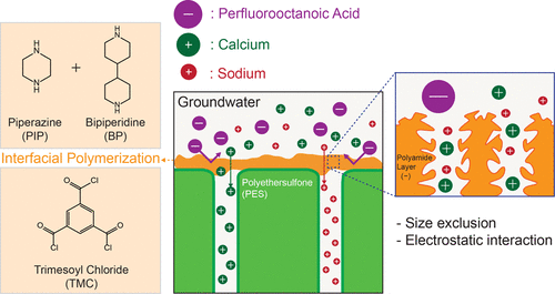 High Performance Nanofiltration Membrane For Effective Removal Of ...