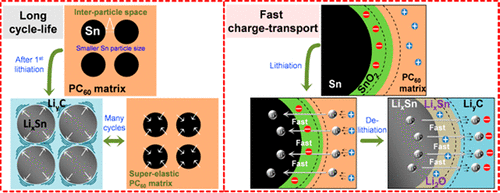 Self-Relaxant Superelastic Matrix Derived from C60 Incorporated Sn ...