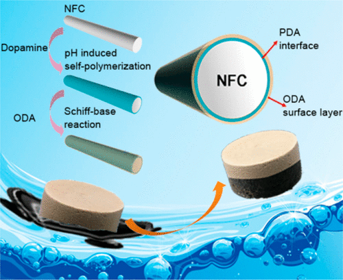 Mussel Adhesive-Inspired Design Of Superhydrophobic Nanofibrillated ...