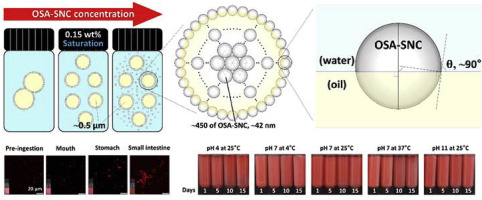 Gastrointestinal Digestion And Stability Of Submicron Sized Emulsions Stabilized Using Waxy Maize Starch Crystals Food Hydrocolloids X Mol