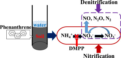 Effect of the nitrification inhibitor (3, 4-dimethylpyrazole phosphate ...