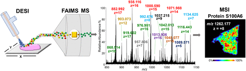 Desorption Electrospray Ionization Mass Spectrometry Imaging of ...