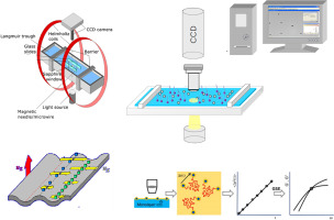 流体界面的剪切流变学:缩小宏观和微观流变学之间的差距,Current Opinion in Colloid & Interface ...