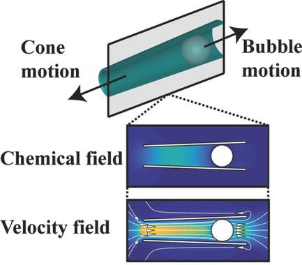 Physics of Bubble‐Propelled Microrockets,Advanced Functional Materials ...