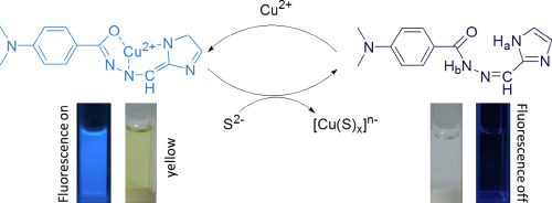 A novel jointly colorimetric and fluorescent sensor for Cu2 ...