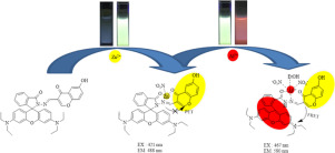 A novel chromone and rhodamine derivative as fluorescent probe for the ...