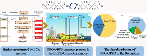 Multimedia fate and transport simulation of perfluorooctanoic acid ...