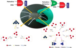 DNA colorimetric logic gate in microfluidic chip based on unmodified ...