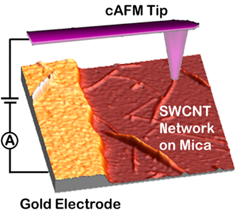 Conductivity Enhancement of Transparent 2D Carbon Nanotube Networks ...