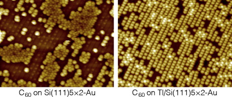 C60 Layer Growth On Intact And Tl Modified Si 1 1 1 5 2 Au Surfaces Applied Surface Science X Mol