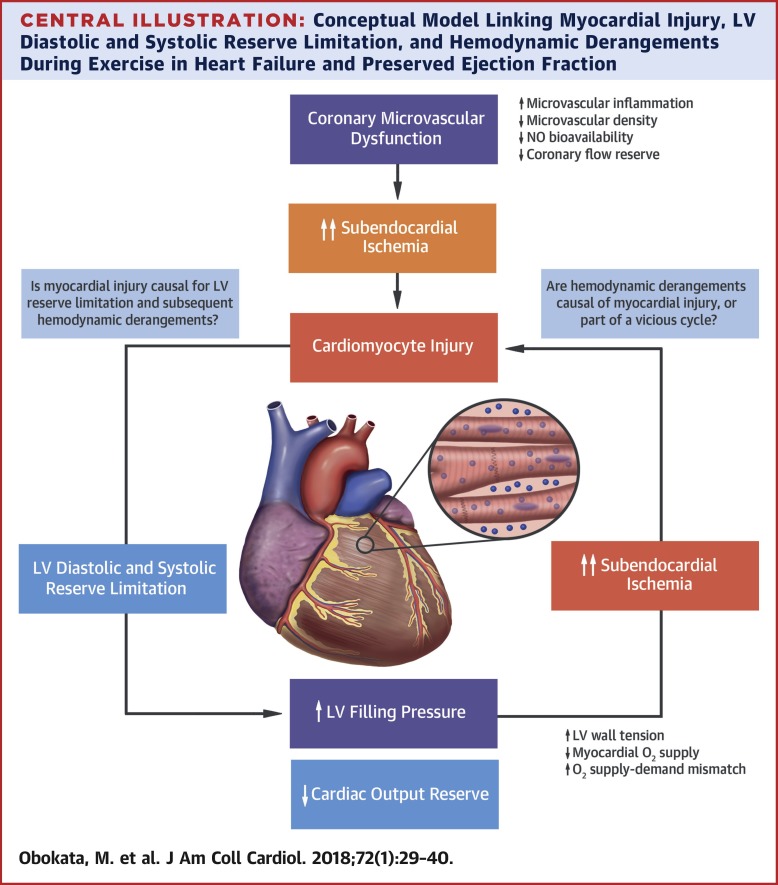 Myocardial Injury And Cardiac Reserve In Patients With Heart Failure And Preserved Ejection Fraction Journal Of The American College Of Cardiology X Mol