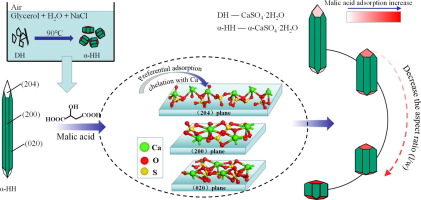 Preparation of α-CaSO4·½H2O with tunable morphology from flue gas ...