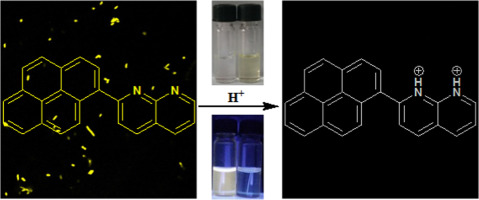 A pyrene-based colorimetric and fluorescent pH probe with large stokes ...