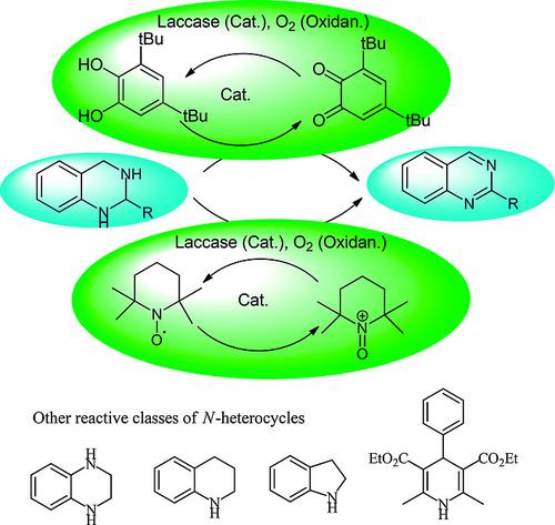 Laccase‐Based Oxidative Catalytic Systems for the Aerobic Aromatization ...