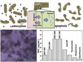 源自 ZIF-8 的 ZnO 纳米笼具有增强的抗结核分枝杆菌活性,Journal of Alloys and Compounds - X-MOL