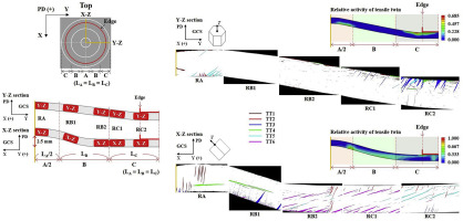 Crystal Plasticity FEM Study Of Twinning And Slip In A Mg Single ...