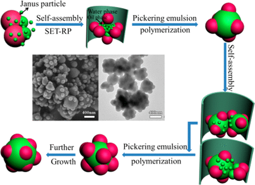 Architecture and Performance of Raspberry-like Colloidal Particle ...