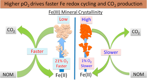 Influence of pO2 on Iron Redox Cycling and Anaerobic Organic Carbon ...