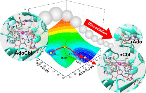 Mechanism Of Light Induced Radical Pair Formation In Coenzyme B12 ...