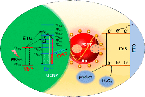 Near-Infrared Light-Excited Core–Core–Shell [email Protected]@CdS ...