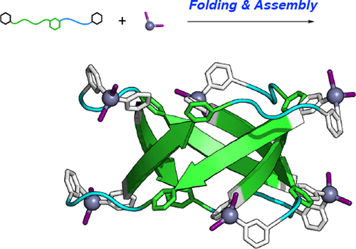 Synthetic β-barrel by metal-induced folding and assembly,Journal of the ...