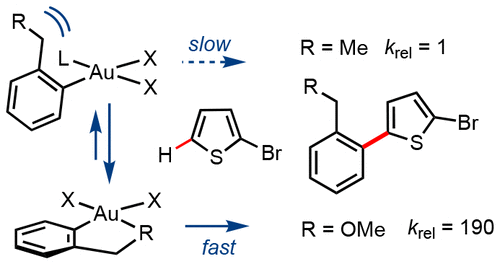 au catalyzed oxidative arylation chelation induced turnover of ortho substituted arylsilanes acs catal x mol x mol