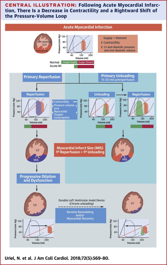 Mechanical Unloading In Heart Failure Journal Of The American College Of Cardiology X Mol