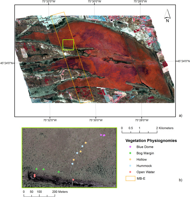 Evaluation Of Phenospectral Dynamics With Sentinel 2a Using A Bottom Up Approach In A Northern Ombrotrophic Peatland Remote Sensing Of Environment X Mol