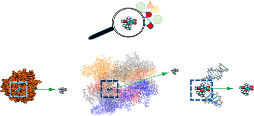 Steered Molecular Dynamics Simulation in Rational Drug Design,Journal ...