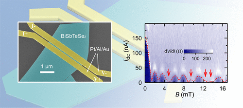 Anomalous Fraunhofer Patterns in Gated Josephson Junctions Based on the ...