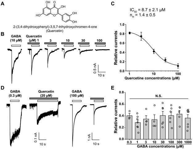 Quercetin Reduces Cortical GABAergic Transmission and Alleviates MK-801 ...