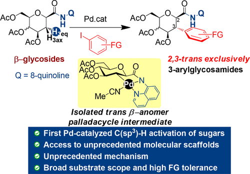 Palladium Ii Catalyzed Diastereoselective 2 3 Trans C Sp3 H Arylation Of Glycosides Acs Catalysis X Mol