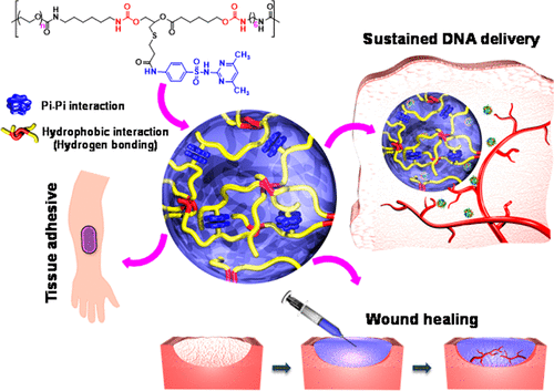 Bioinspired pH- and Temperature-Responsive Injectable Adhesive ...