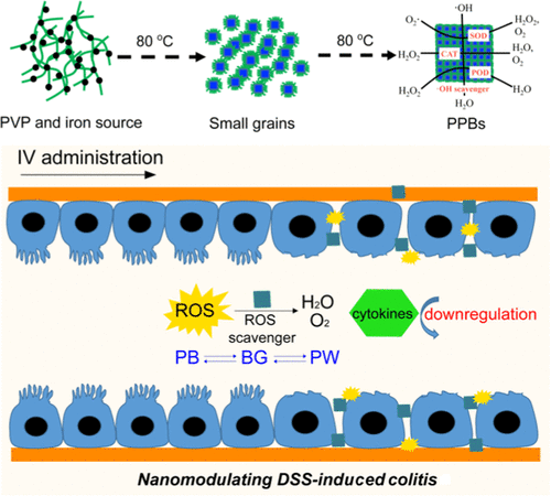 Prussian Blue Nanozyme With Multienzyme Activity Reduces Colitis In ...