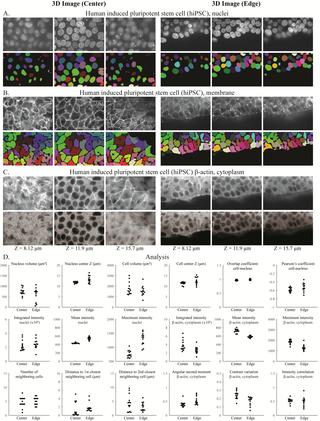 CellProfiler 3.0: Next-generation image processing for biology,PLOS ...