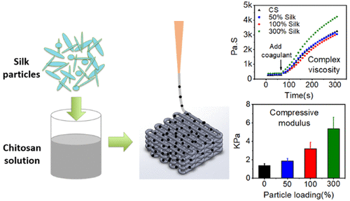 3D Printing Of Silk Particle-Reinforced Chitosan Hydrogel Structures ...