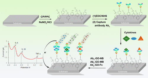 Graphene Oxide Signal Reporter Based Multifunctional Immunosensing ...