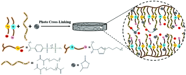 Single lithium-ion polymer electrolytes based on poly(ionic liquid)s ...
