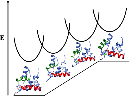 Molecular Dynamics And Umbrella Sampling Simulations Elucidate Differences In Troponin C Isoform And Mutant Hydrophobic Patch Exposure The Journal Of Physical Chemistry B X Mol