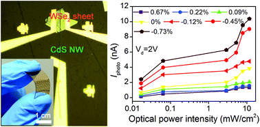 Tunable WSe2–CdS mixed-dimensional van der Waals heterojunction with a ...