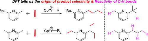 Origin Of Product Selectivity In Yttrium Catalyzed Benzylic C H Alkylations Of Alkylpyridines With Olefins A Dft Study Organometallics X Mol