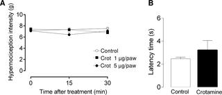 Pharmacological Characterization Of Crotamine Effects On Mice Hind Limb Paralysis Employing Both