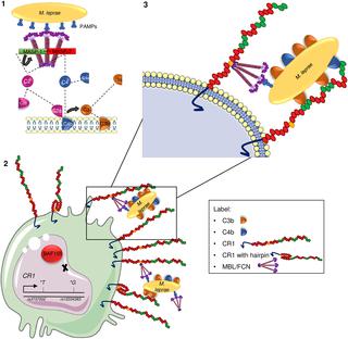 PLOS Neglected Tropical Diseases